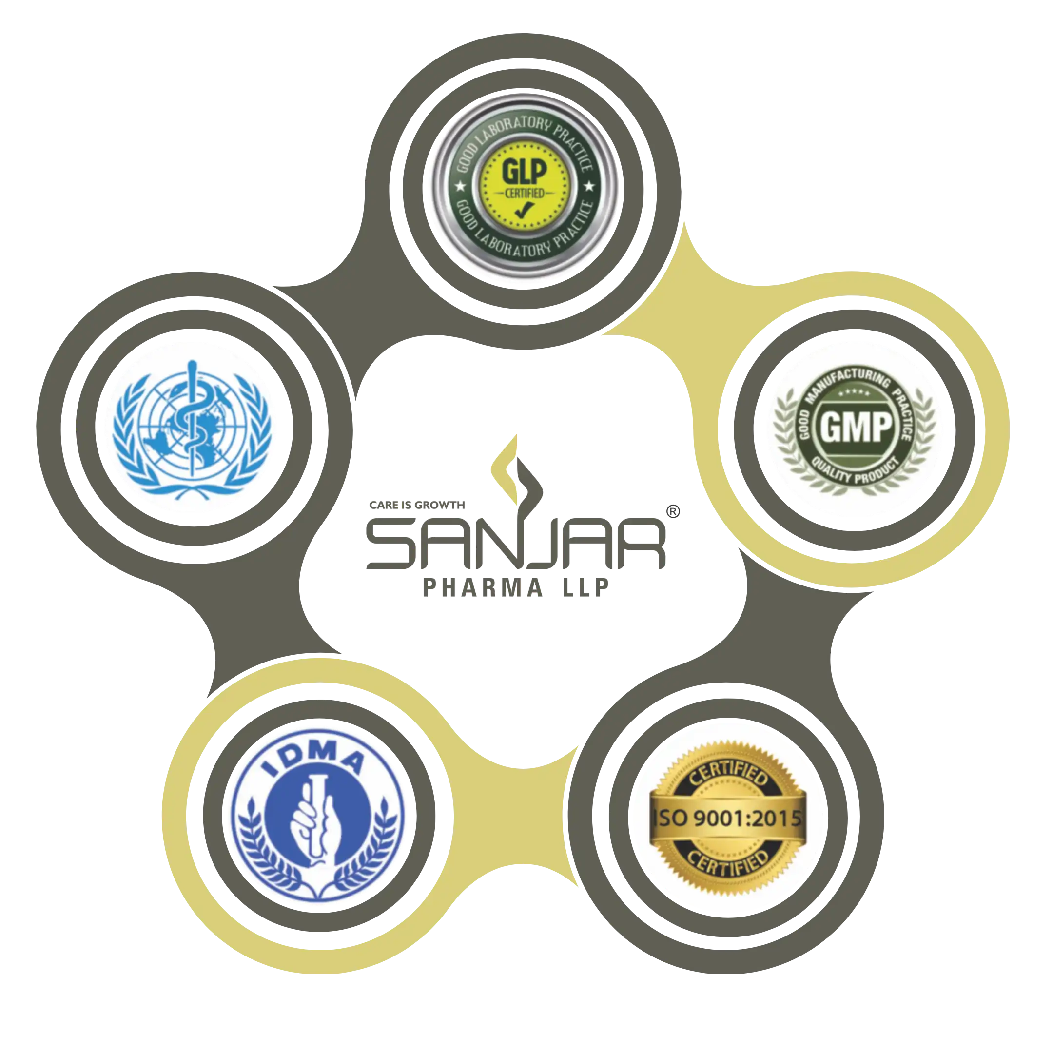 Sanjar Pharma team and manufacturing excellence